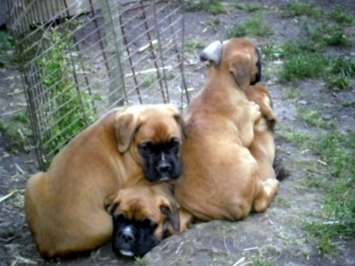 Vylez a zařaď se, za chvíli fičíme