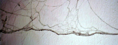 Dílo mistra pavouka