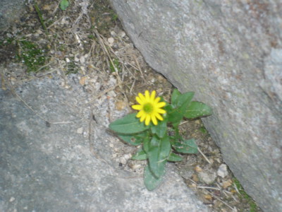 Jedna malá vitálka