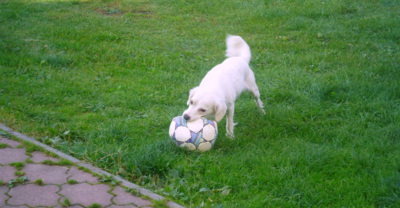 Jmenuji se Chelsea, proč asi?