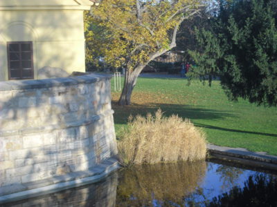 Podzim u mlýnské strouhy