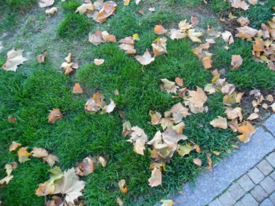 Než nás vítr rozfouká