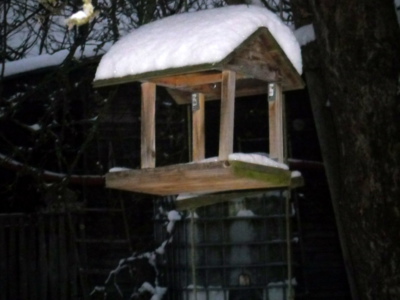 Myslíme i na ptáčky...