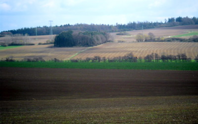 Hnědozelená- barva podzimu