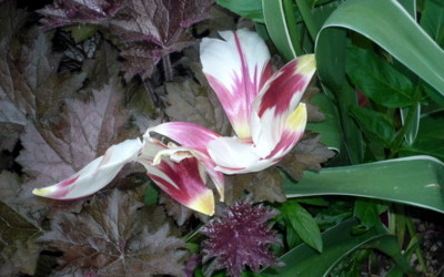 Za rok se vrátím.....nashledanou!