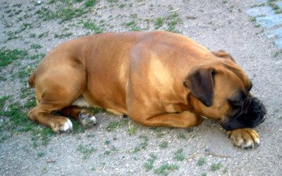 No a co? Tak jsem si trochu dáchla...