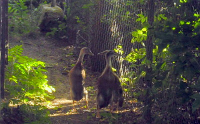 Asi jsme zabloudili...