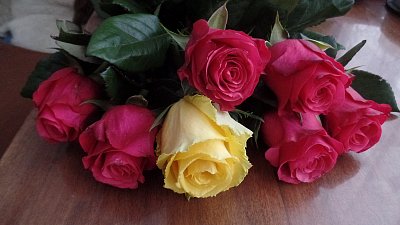 Přeji všem krásný den.