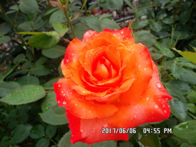 pro Tebe - nejsem od Tiffanyho, démanty mám z nebe...