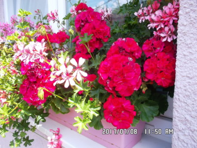 A zase zářím barvami...