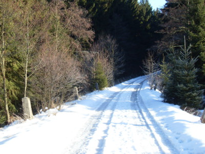 Cesta na běžkách...