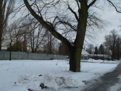 Předjaří na Boskovicku...