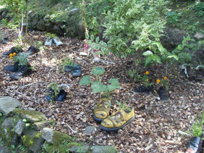 Botanická zahrada Rudka u Kunštátu...