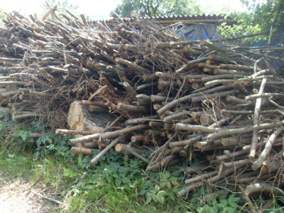 Ještě topení na zimu...?