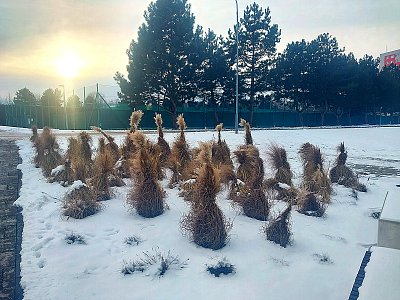Smím prosit? Vyhlašuji dámskou volenku, ... *