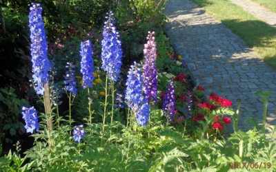 Skupina ostrožek...