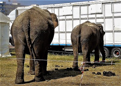 Ne, dneska focení nebude...