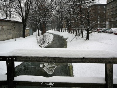 Rokytka v zimě 2010