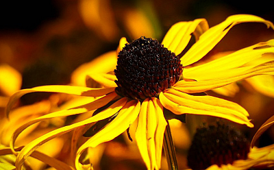 Nástěnný kalendář na rok 2026 je připraven k tisku. Objednáte si jej také?