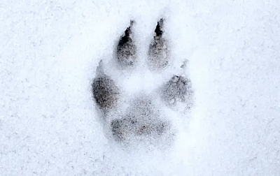 Snímek obrazovky 2026-02-15 v&nbsp;9.02.21.png