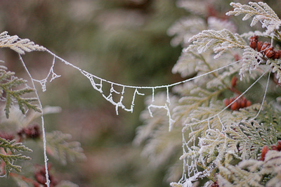 Spojení přerušeno