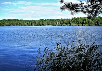 Hladina Staňkovského rybníku   *