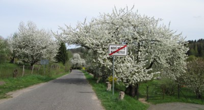 Nové Město a staré patníky