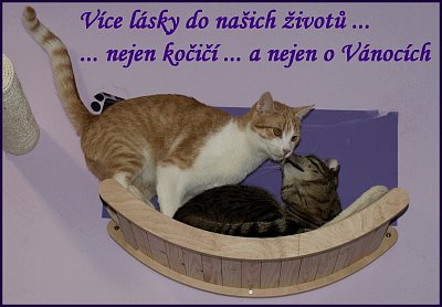 Vánoční kočičí štěstí (nesoutěžní)