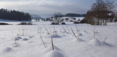 Středohoří u Šumavy ?