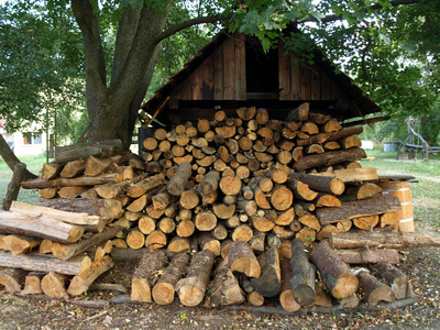 Sušírna se neobejde bez zásoby tvrdého dřeva.JPG