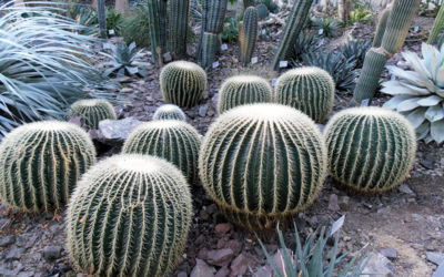 Taburetky pro nezvané návštěvy...