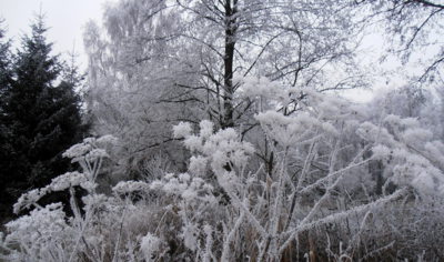 Tady určitě byl Mrazík