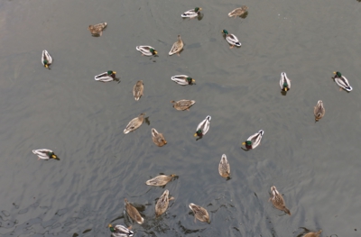 Tak hodíš ještě něco...