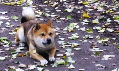 Tak už mne zavolej..