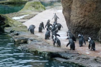 Taková normální rodinka...