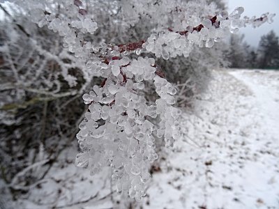 Takovouhle jinovatku jsem ještě neviděl...
