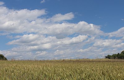 Léto, jak má být...