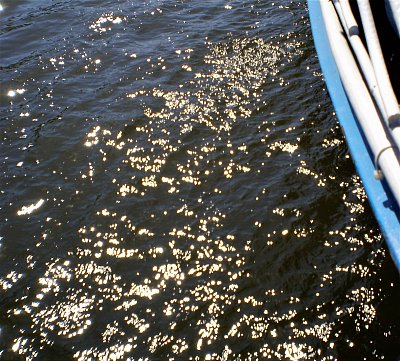 Tisíce sluncí na hladině