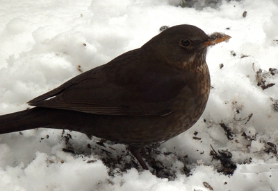 To je dřina než to rozhrabu..