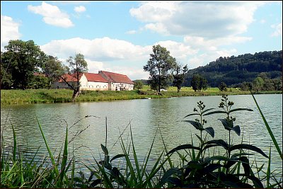Rybník u Brandýsa nad Orlicí