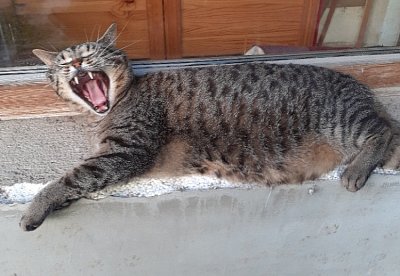 Pojď ke mněěěě!