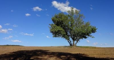 Traktor mě objíždí