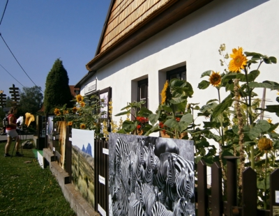 Letní minigalerie ve Třech Studních