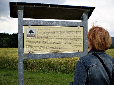 Trochu historie