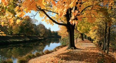 U Orlice v Hradci Králové...