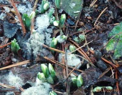 Už se klubem - nadm.výška 550m
