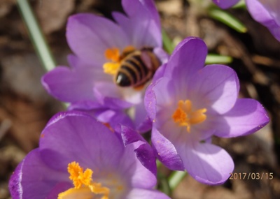 Už se můžeme živit..