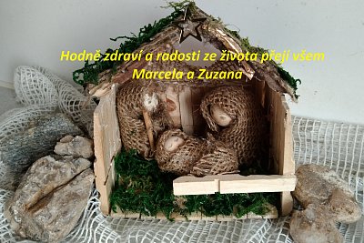 Upřímné přání všem