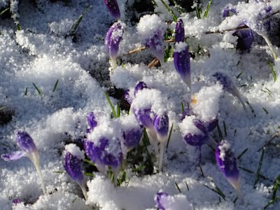 Včerejší ráno...