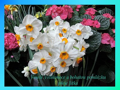 Veselé Velikonoce